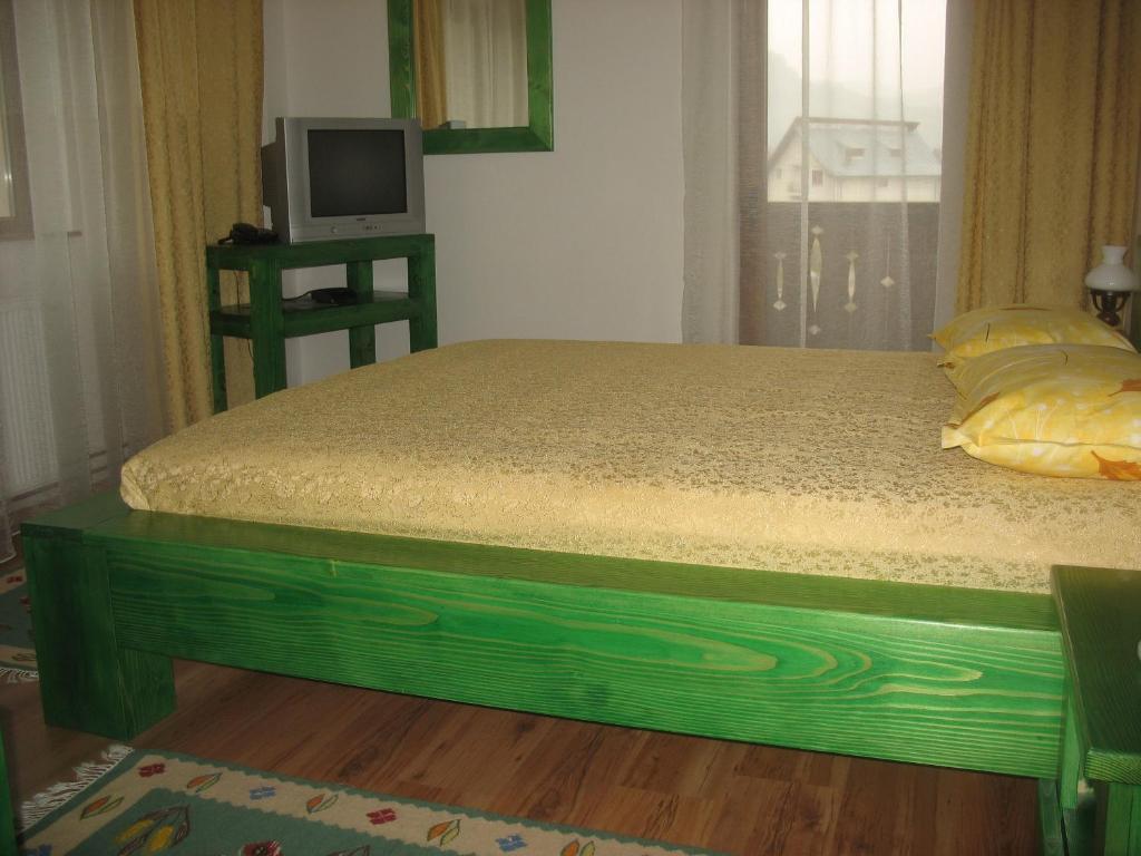 Pension Irina Arefu Room photo